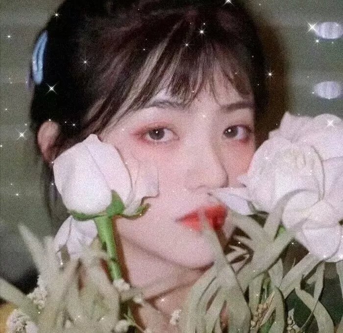 少数派报告